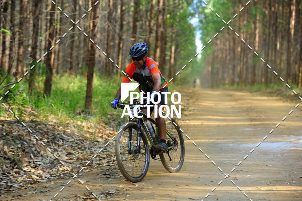 Buy your photos of the event16 Edio Maratona 100Km Canaviais on Fotop
