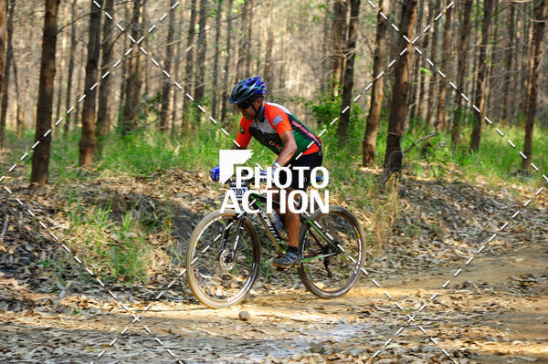 Buy your photos of the event16 Edio Maratona 100Km Canaviais on Fotop