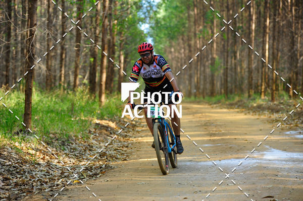 Buy your photos of the event16 Edio Maratona 100Km Canaviais on Fotop