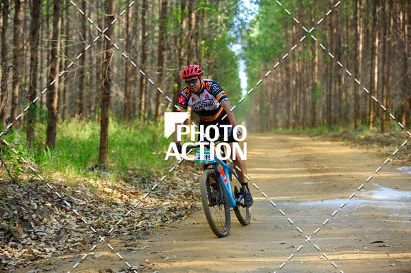 Buy your photos of the event16 Edio Maratona 100Km Canaviais on Fotop