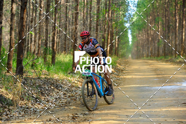 Buy your photos of the event16 Edio Maratona 100Km Canaviais on Fotop