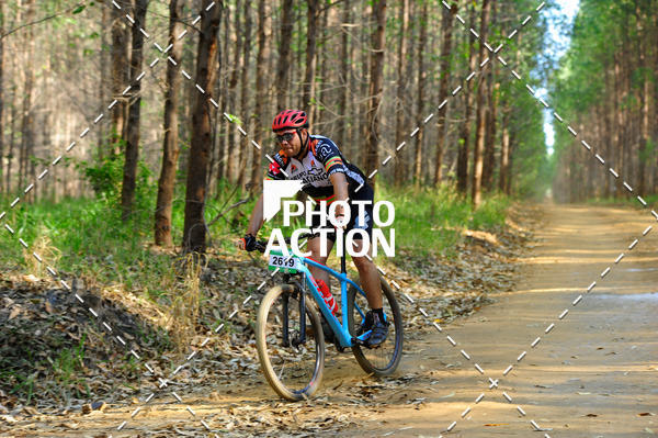 Buy your photos of the event16 Edio Maratona 100Km Canaviais on Fotop