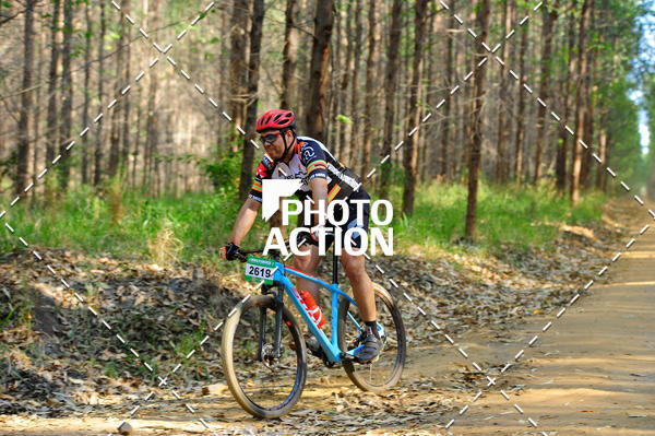 Buy your photos of the event16 Edio Maratona 100Km Canaviais on Fotop