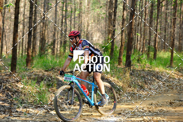 Buy your photos of the event16 Edio Maratona 100Km Canaviais on Fotop