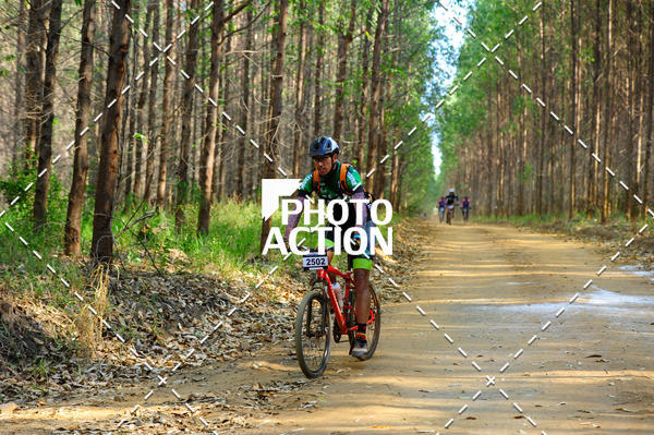 Buy your photos of the event16 Edio Maratona 100Km Canaviais on Fotop