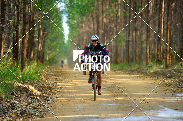Buy your photos of the event16 Edio Maratona 100Km Canaviais on Fotop