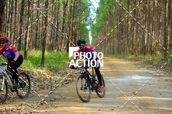 Buy your photos of the event16 Edio Maratona 100Km Canaviais on Fotop
