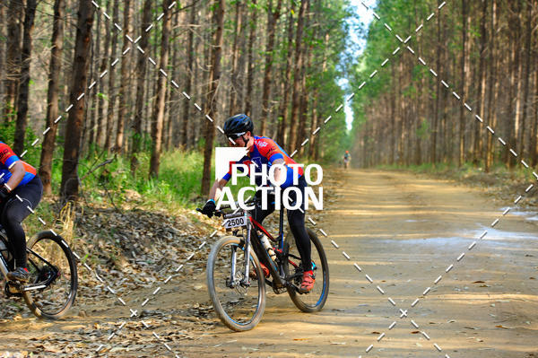 Buy your photos of the event16 Edio Maratona 100Km Canaviais on Fotop