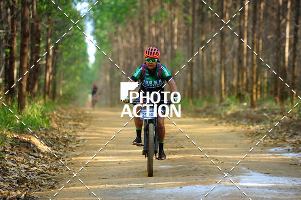 Buy your photos of the event16 Edio Maratona 100Km Canaviais on Fotop