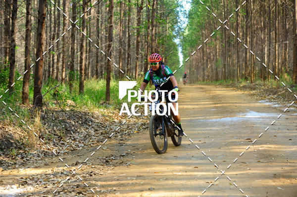 Buy your photos of the event16 Edio Maratona 100Km Canaviais on Fotop