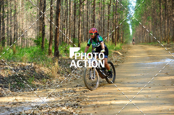 Buy your photos of the event16 Edio Maratona 100Km Canaviais on Fotop