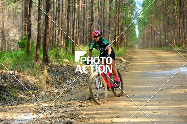 Buy your photos of the event16 Edio Maratona 100Km Canaviais on Fotop