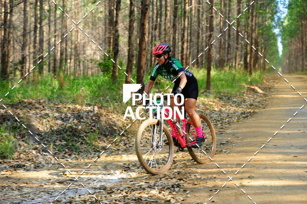 Buy your photos of the event16 Edio Maratona 100Km Canaviais on Fotop