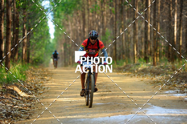 Buy your photos of the event16 Edio Maratona 100Km Canaviais on Fotop