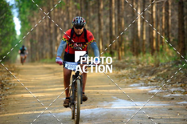 Buy your photos of the event16 Edio Maratona 100Km Canaviais on Fotop