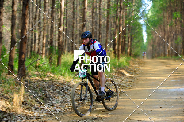 Buy your photos of the event16 Edio Maratona 100Km Canaviais on Fotop