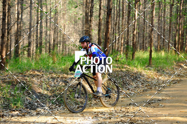 Buy your photos of the event16 Edio Maratona 100Km Canaviais on Fotop