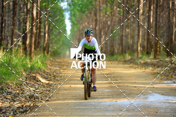 Buy your photos of the event16 Edio Maratona 100Km Canaviais on Fotop