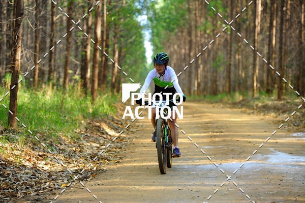 Buy your photos of the event16 Edio Maratona 100Km Canaviais on Fotop