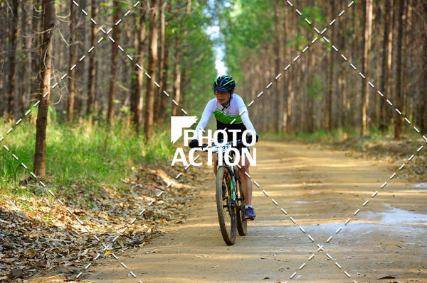 Buy your photos of the event16 Edio Maratona 100Km Canaviais on Fotop