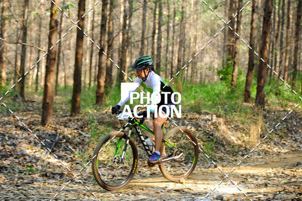 Buy your photos of the event16 Edio Maratona 100Km Canaviais on Fotop