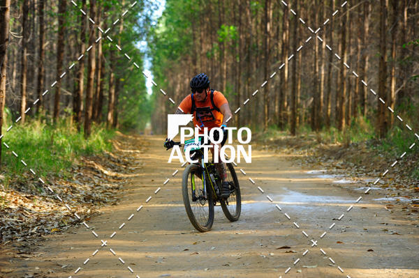 Buy your photos of the event16 Edio Maratona 100Km Canaviais on Fotop