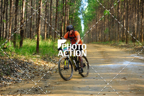 Buy your photos of the event16 Edio Maratona 100Km Canaviais on Fotop