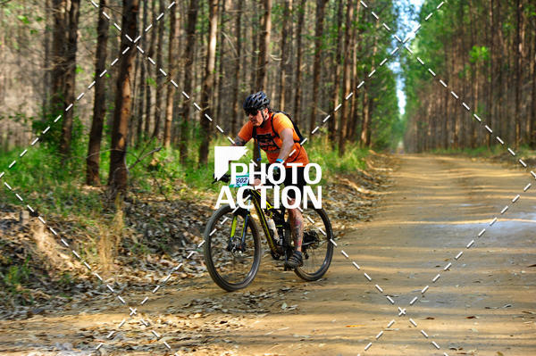 Buy your photos of the event16 Edio Maratona 100Km Canaviais on Fotop