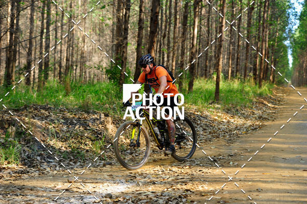 Buy your photos of the event16 Edio Maratona 100Km Canaviais on Fotop