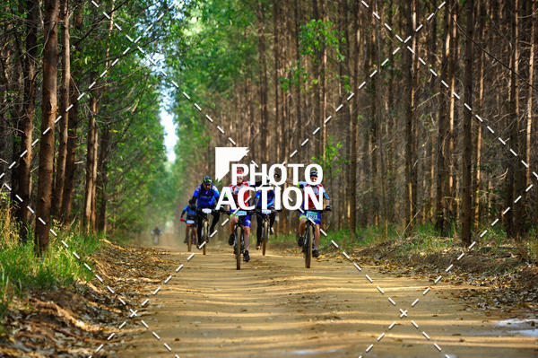 Buy your photos of the event16 Edio Maratona 100Km Canaviais on Fotop