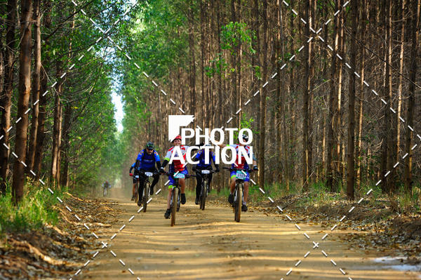 Buy your photos of the event16 Edio Maratona 100Km Canaviais on Fotop