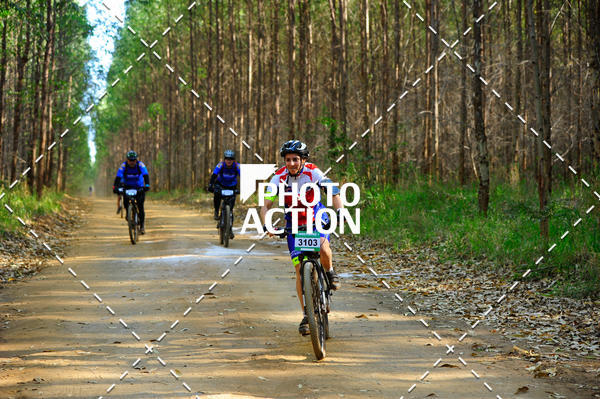 Buy your photos of the event16 Edio Maratona 100Km Canaviais on Fotop
