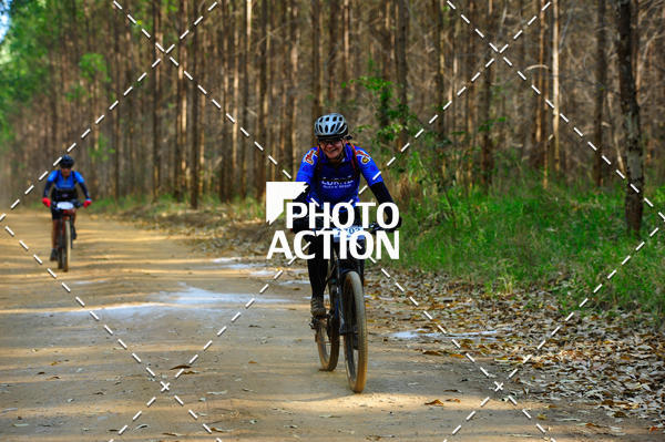 Buy your photos of the event16 Edio Maratona 100Km Canaviais on Fotop