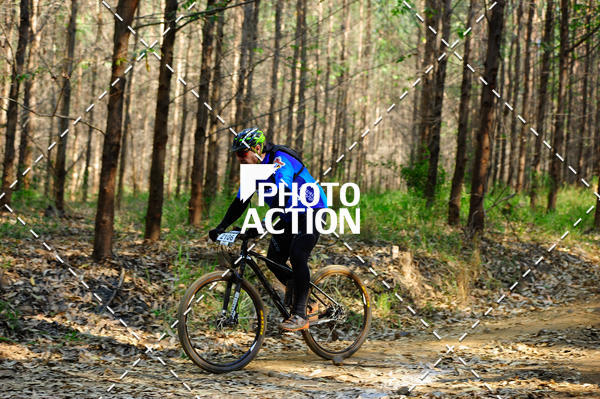 Buy your photos of the event16 Edio Maratona 100Km Canaviais on Fotop