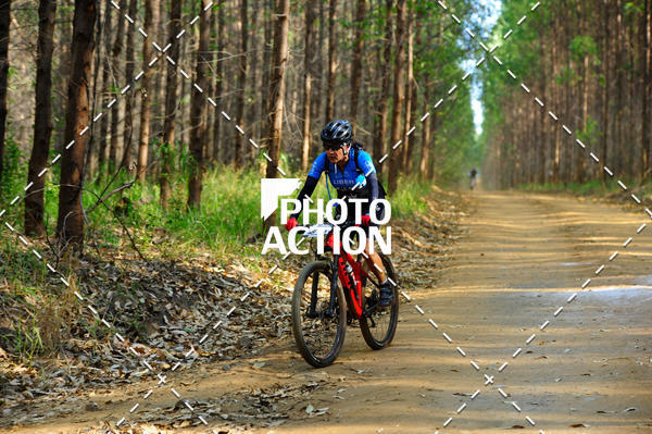 Buy your photos of the event16 Edio Maratona 100Km Canaviais on Fotop