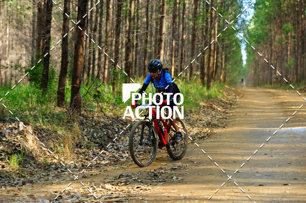 Buy your photos of the event16 Edio Maratona 100Km Canaviais on Fotop