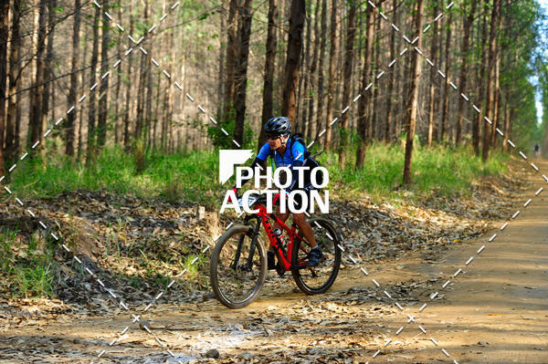 Buy your photos of the event16 Edio Maratona 100Km Canaviais on Fotop