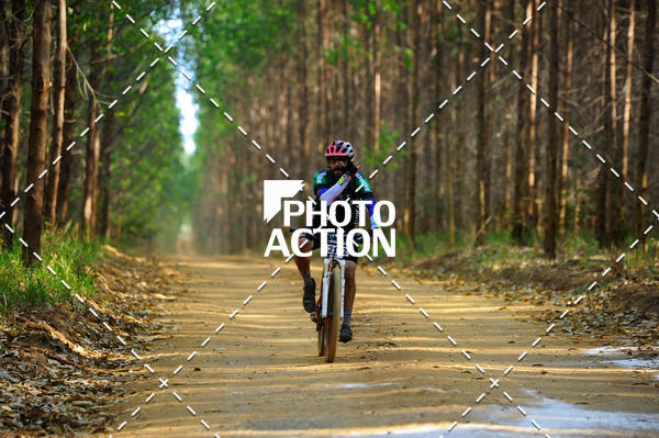 Buy your photos of the event16 Edio Maratona 100Km Canaviais on Fotop