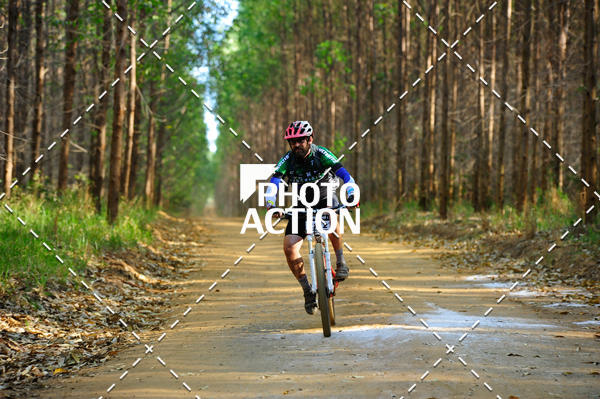 Buy your photos of the event16 Edio Maratona 100Km Canaviais on Fotop