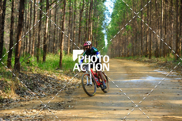 Buy your photos of the event16 Edio Maratona 100Km Canaviais on Fotop