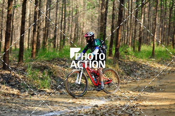 Buy your photos of the event16 Edio Maratona 100Km Canaviais on Fotop