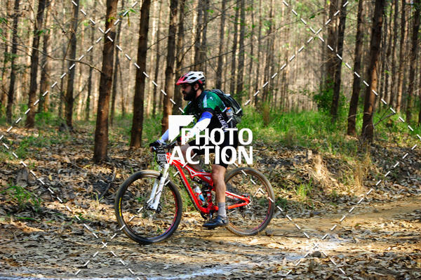 Buy your photos of the event16 Edio Maratona 100Km Canaviais on Fotop