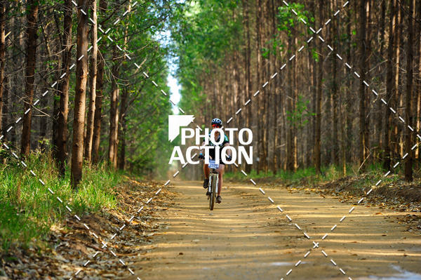 Buy your photos of the event16 Edio Maratona 100Km Canaviais on Fotop