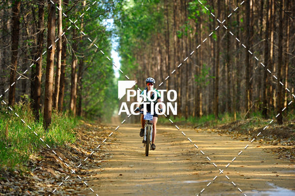 Buy your photos of the event16 Edio Maratona 100Km Canaviais on Fotop