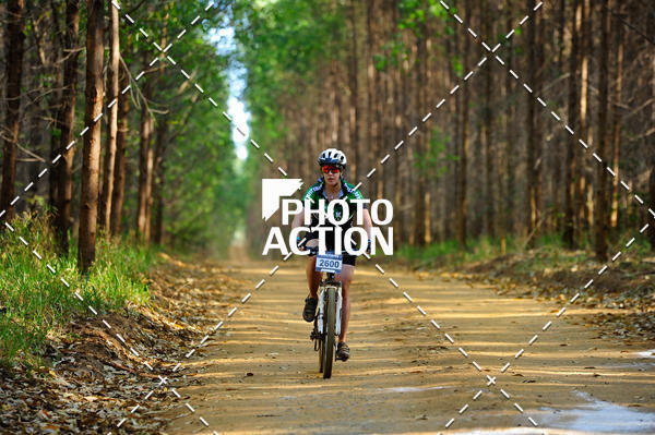 Buy your photos of the event16 Edio Maratona 100Km Canaviais on Fotop