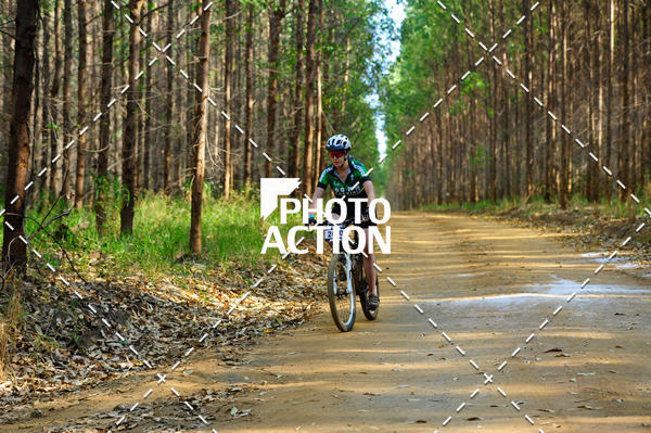 Buy your photos of the event16 Edio Maratona 100Km Canaviais on Fotop