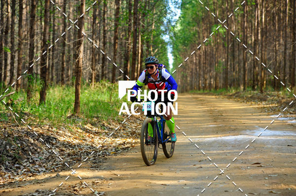 Buy your photos of the event16 Edio Maratona 100Km Canaviais on Fotop