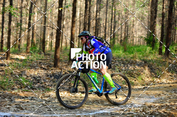 Buy your photos of the event16 Edio Maratona 100Km Canaviais on Fotop