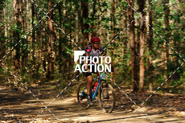 Buy your photos of the event16� Edi��o Maratona 100Km Canaviais on Fotop