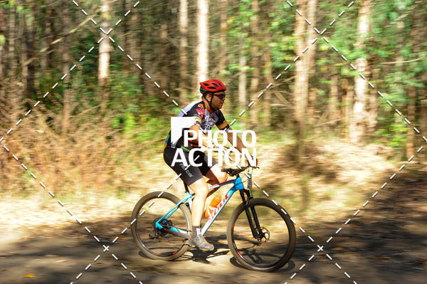 Buy your photos of the event16� Edi��o Maratona 100Km Canaviais on Fotop